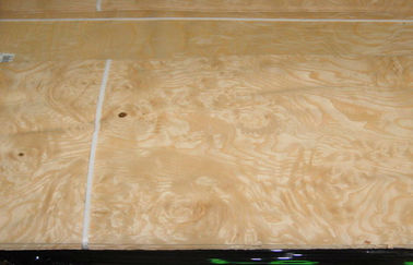 Placage en bois de noeud de frêne blanc avec des techniques découpées en tranches de coupe