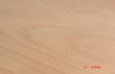Coupe rotatoire 0,2 millimètres - 0,6 millimètres d'Okoume de jaune de placage pour des meubles