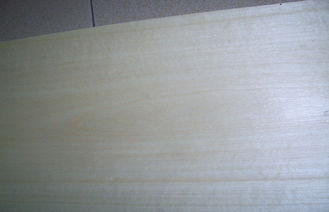 placage découpé en tranches par épaisseur de 0.5mm, placage naturel de bouleau blanc pour des meubles